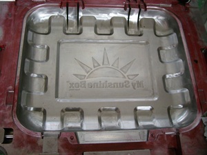 plastic-injection-mold-tooling-lid-300px.jpg